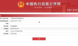 富力爆料最新消息,揭秘球队动态与未来规划