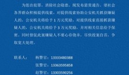河津最新爆料消息,揭秘神秘事件背后的惊人真相！