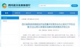 通江县最新爆料信息网,揭秘网络热点事件背后的真相