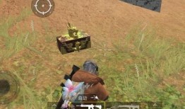 国际服最新爆料特效枪,全新视觉盛宴即将开启！