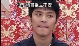 辛巴爆料三只羊最新消息,揭秘三只羊背后的故事与未来动向