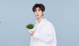 范丞丞白鹿最新爆料,揭秘娱乐圈幕后真相