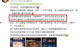 王者投票最新爆料,最新爆料揭秘神秘英雄！