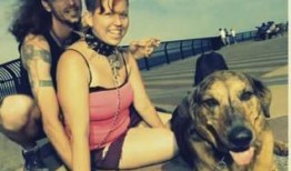 陈女士爱狗人士最新爆料,揭秘爱狗人士最新爱心行动