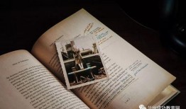 桃园日记最新爆料文案,揭秘幕后真相，独家解读事件始末