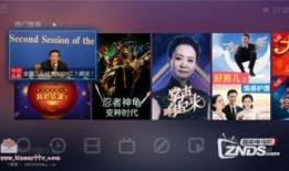 虎帅最新爆料新闻直播在线观看,最新爆料新闻热点速递