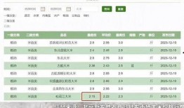 青岛热搜爆料最新消息,最新爆料揭示城市热点动态！