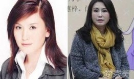 王茜刘爽最新爆料,揭秘娱乐圈惊人内幕