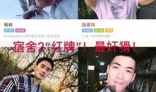 杀猪盘爆料最新,网络爱情陷阱，警惕“猪”你同行