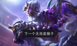 王者无双最新皮肤爆料,全新皮肤惊艳亮相，神秘英雄即将登场！