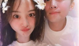 张恒爆料的最新评价,揭秘娱乐圈最新评价风云