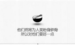 最新人文爆料文案,探寻历史与现实的交融火花