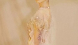 刘大锤最新爆料哈妮克孜,哈妮克孜背后的惊人真相