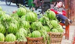 城固吃瓜最新事件爆料,揭秘背后惊人真相，网络热议持续升温