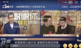 虎帅最新爆料新闻直播在线观看,最新爆料新闻热点速递