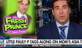 外媒佩洛西最新爆料视频,深度解读美国政治内幕